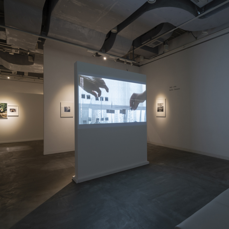 横浜市民ギャラリー - 新・今日の作家展