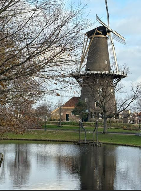 サムネイル画像:日本人にとって“美しさ”とは？